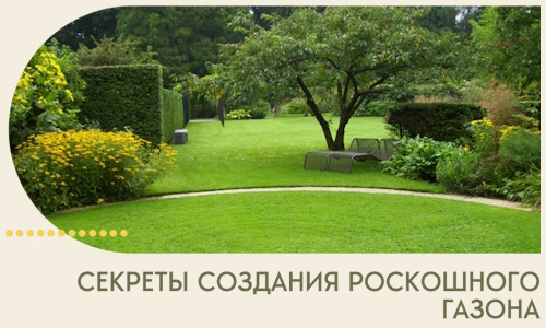 Секреты создания роскошного газона в Тобольске