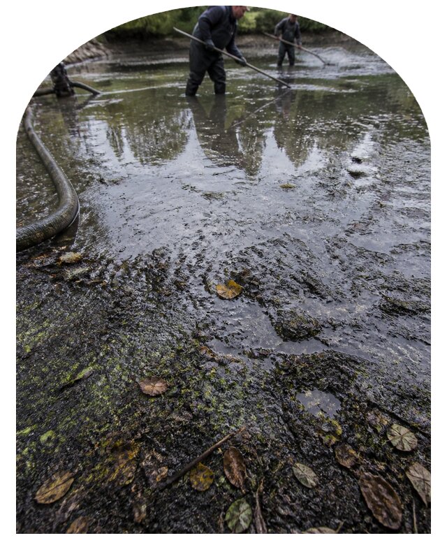 Очистка пруда в Тобольске от ила мусора и водорослей с вывозом